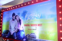 Love Story Magical Success Meet